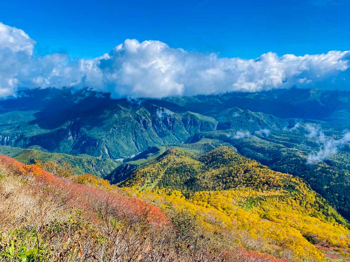 日本一早い紅葉、層雲峡にあるホテル大雪周辺の紅葉9月22日の様子