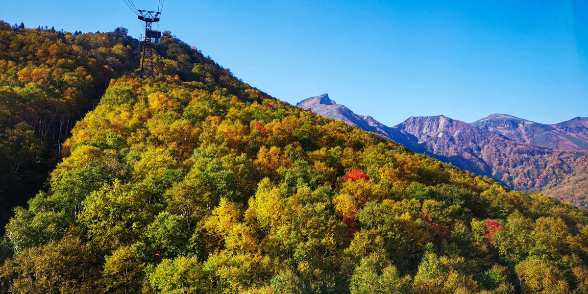 日本一早い紅葉 北海道 層雲峡 ホテル大雪周辺の紅葉9月29日