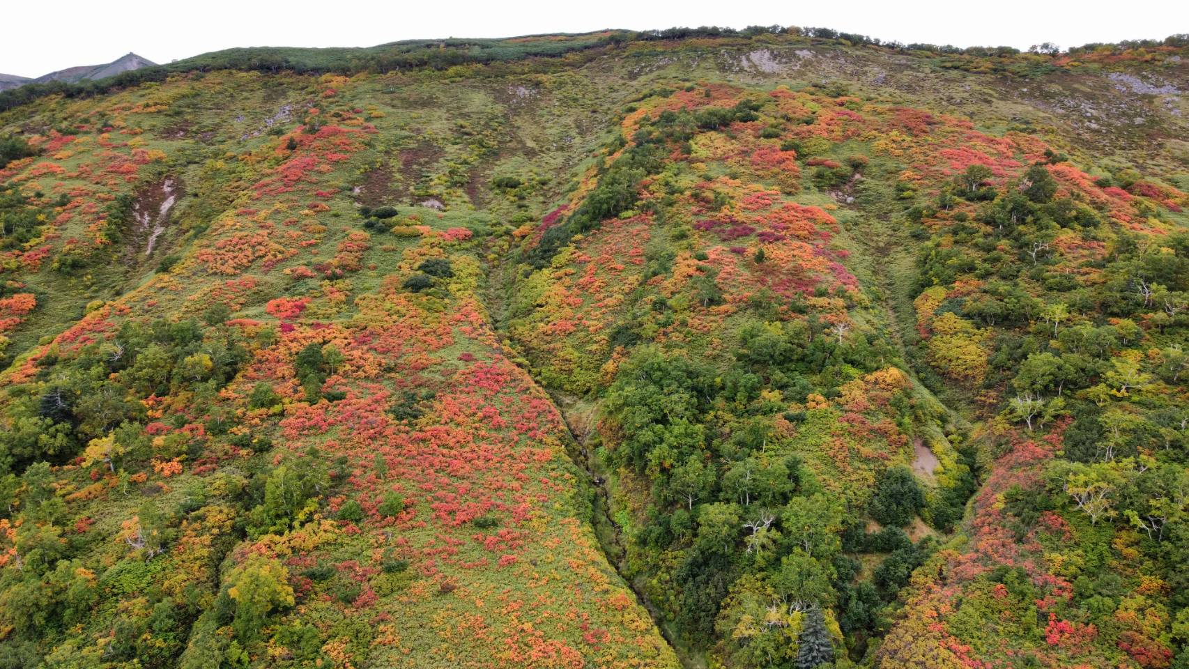 北海道上川層雲峡・ホテル大雪のスタッフによる日本一早い紅葉情報