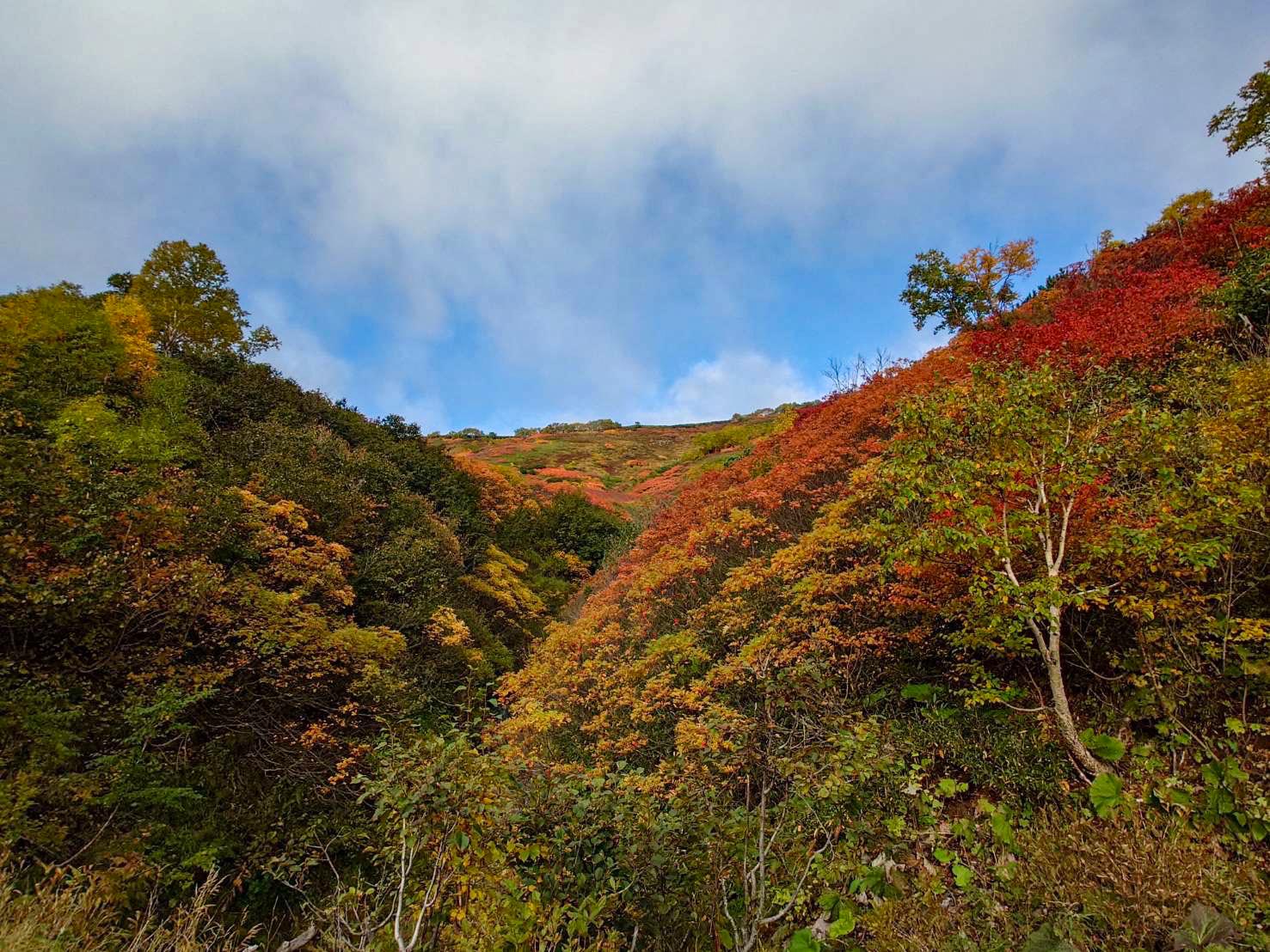 北海道上川層雲峡・ホテル大雪のスタッフによる日本一早い紅葉情報