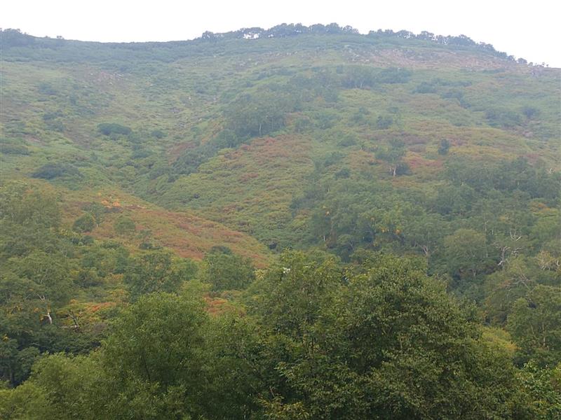 北海道上川層雲峡・ホテル大雪のスタッフによる日本一早い紅葉情報