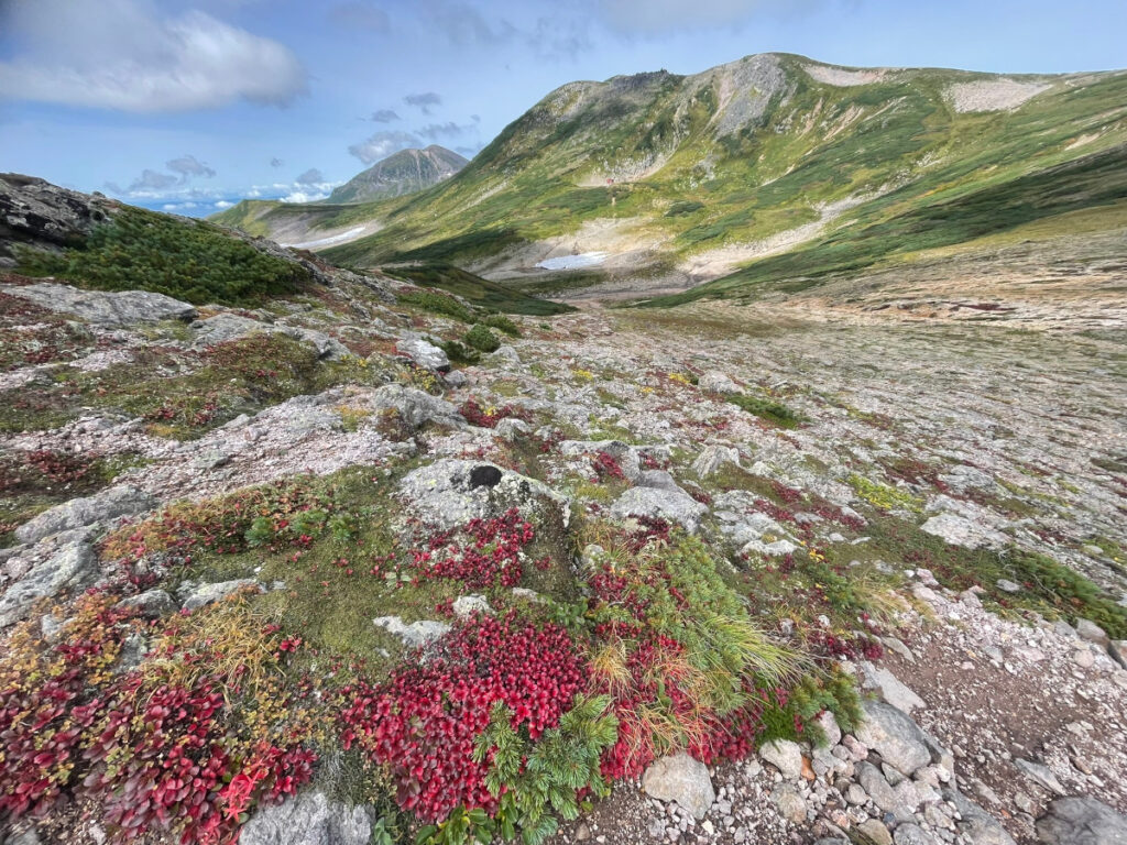 北海道上川層雲峡・ホテル大雪のスタッフによる日本一早い紅葉情報