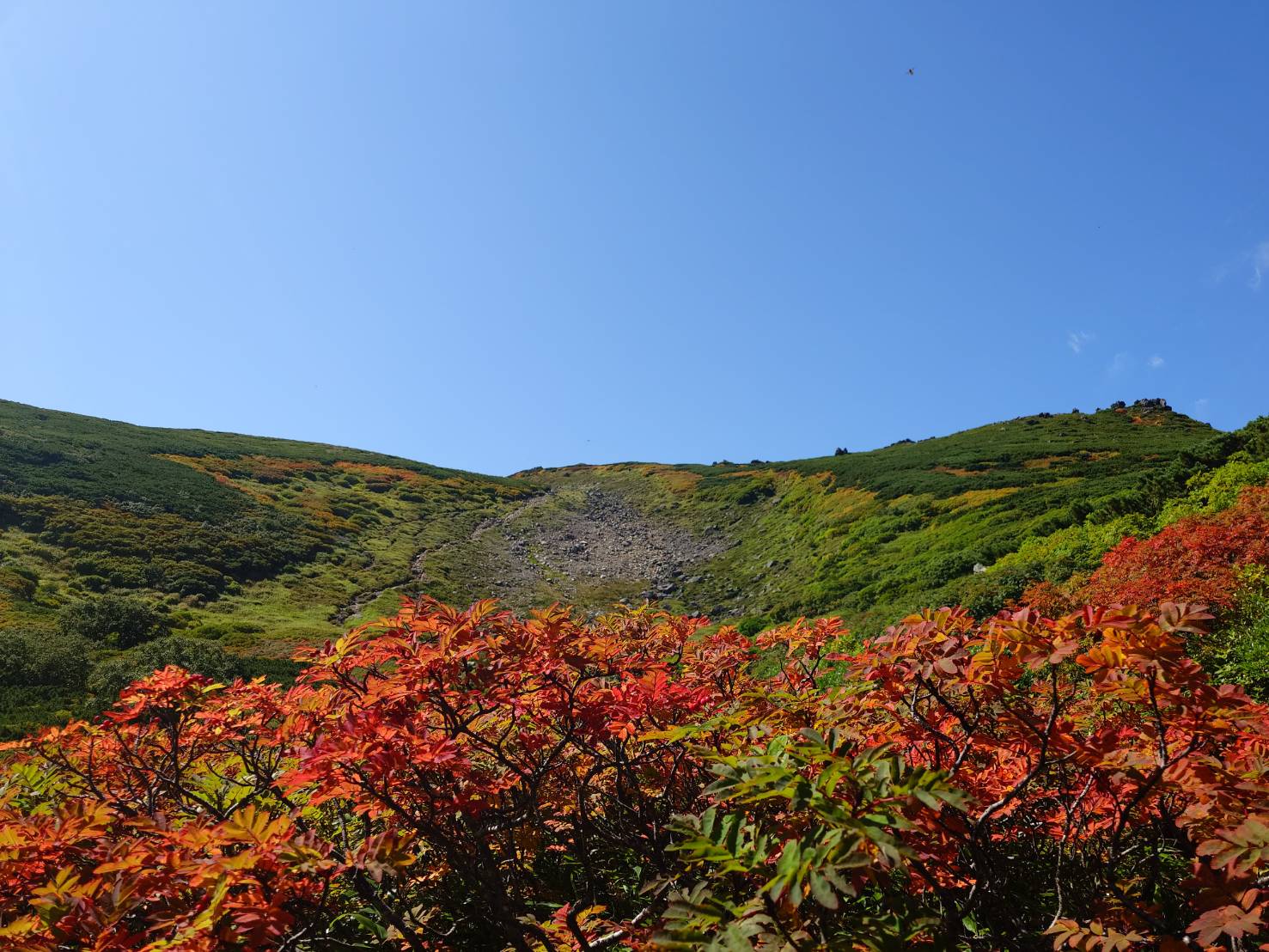 北海道上川層雲峡・ホテル大雪のスタッフによる日本一早い紅葉情報