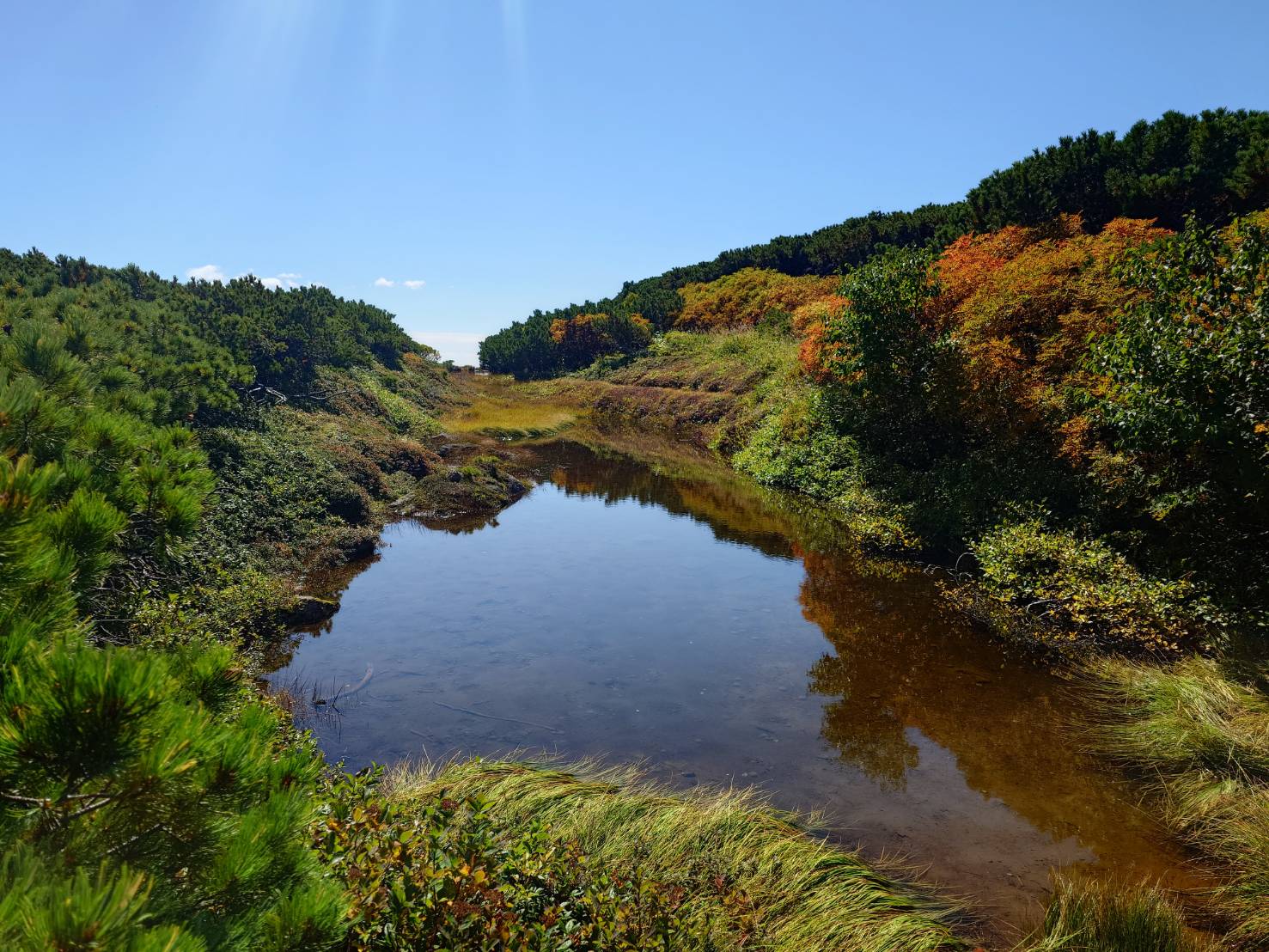 北海道上川層雲峡・ホテル大雪のスタッフによる日本一早い紅葉情報