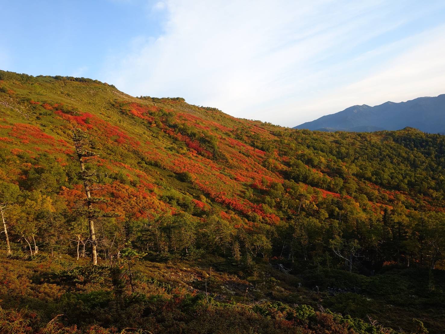 北海道上川層雲峡・ホテル大雪のスタッフによる日本一早い紅葉情報
