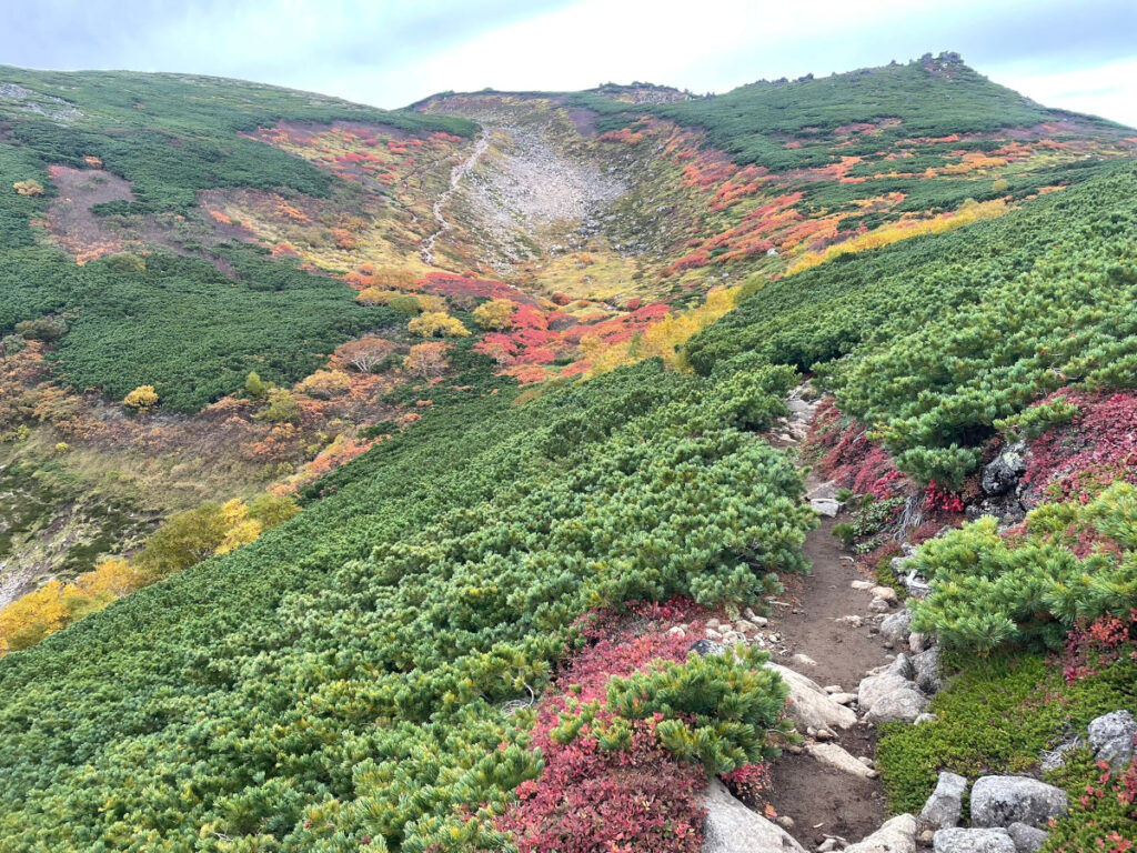 北海道上川層雲峡・ホテル大雪のスタッフによる日本一早い紅葉情報