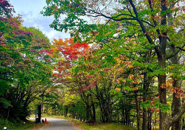 北海道上川層雲峡・ホテル大雪のスタッフによる日本一早い紅葉情報