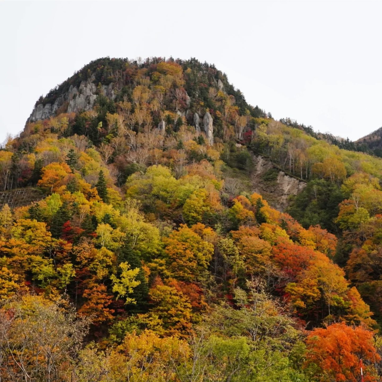 北海道上川層雲峡・ホテル大雪のスタッフによる日本一早い紅葉情報