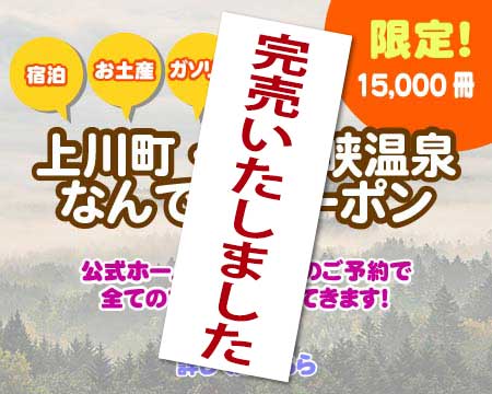 公式 ホテル大雪 層雲峡温泉 ３つの大浴場と２つの露天風呂 温泉付客室もある温泉リゾートホテル